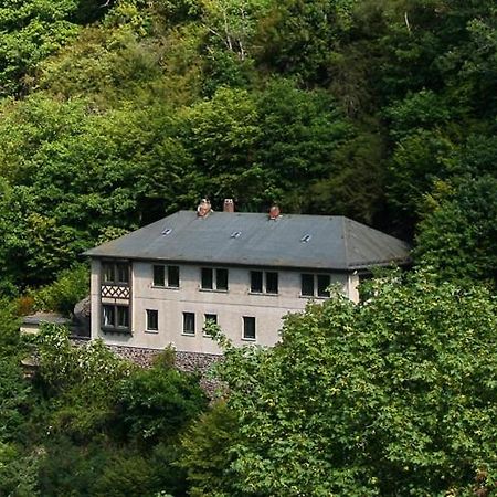 Haus Am Berg Villa Bad Bertrich Exterior foto
